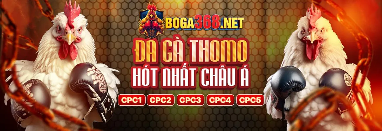Đá Gà Trực Tuyến Hấp Dẫn tại q388