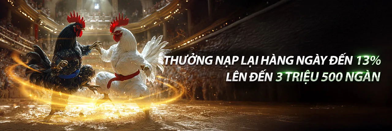Tải Ứng Dụng Q388